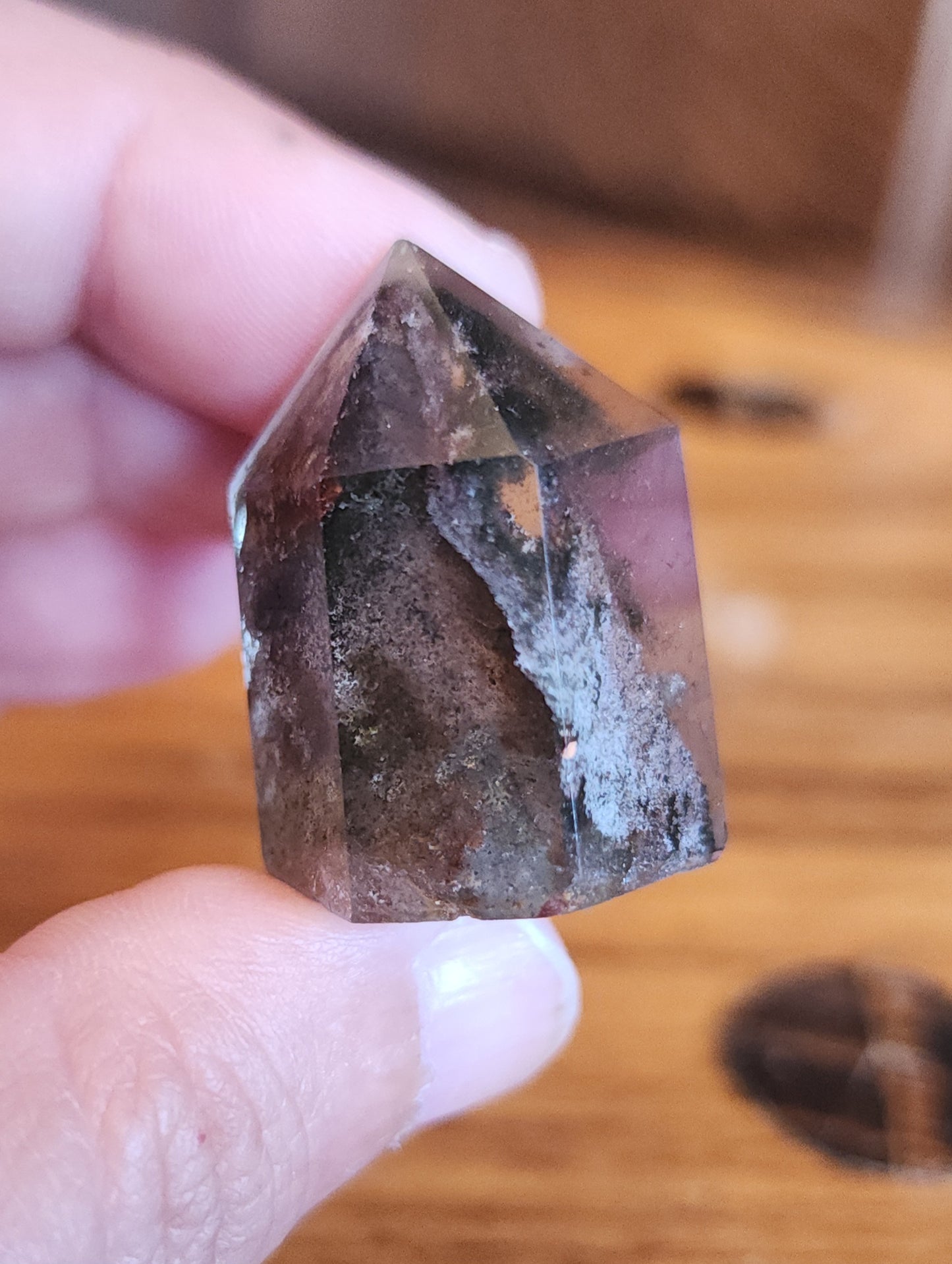 Lodolite Point AAA Garden Quartz