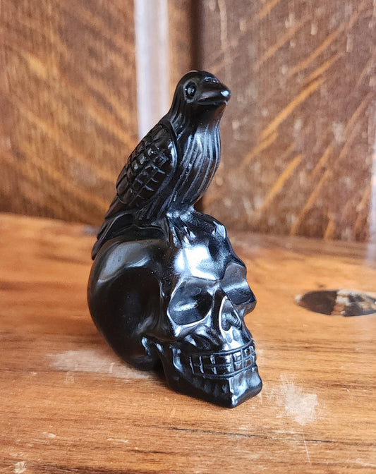 Obsidian Crow on Skull