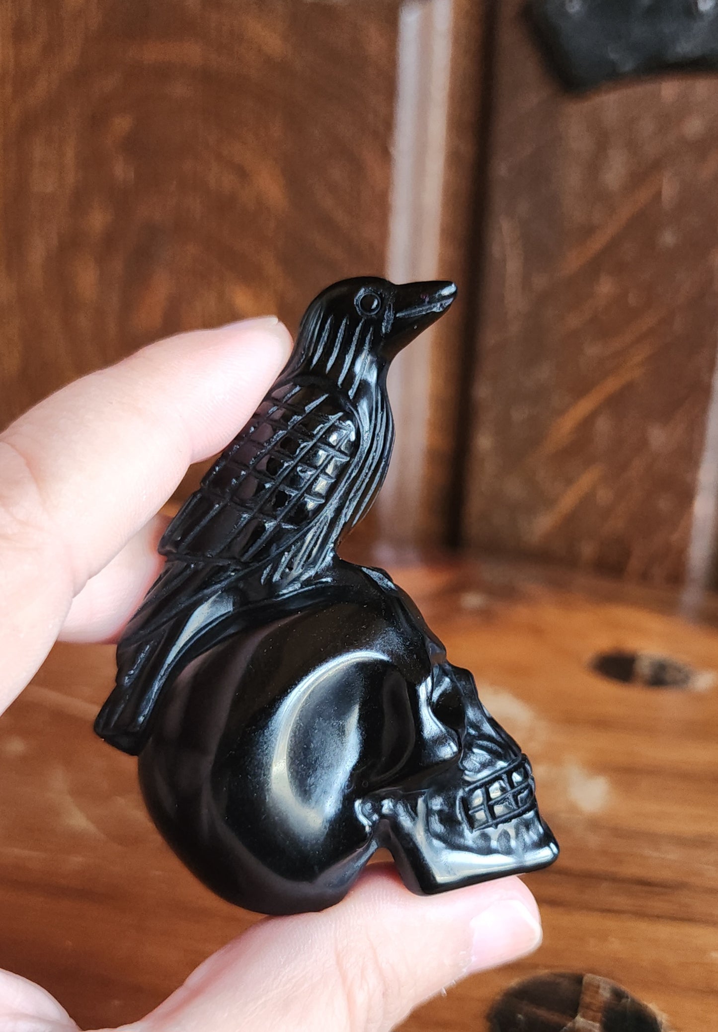 Obsidian Crow on Skull