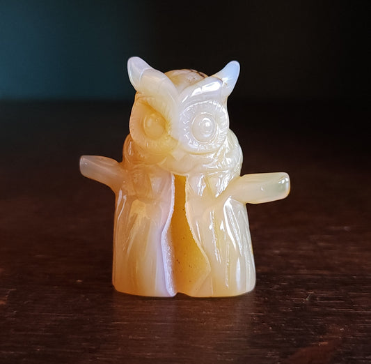Agate Druzy Owl