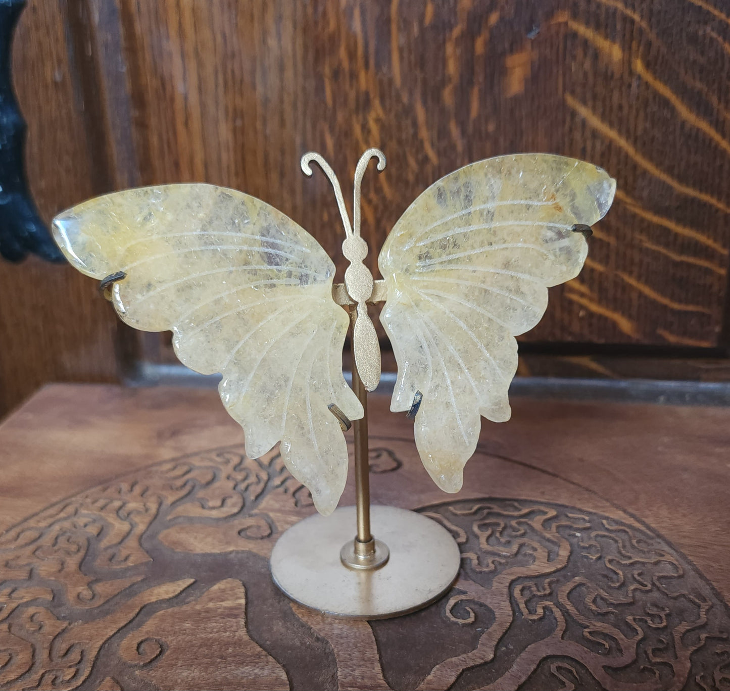 Golden Healer Butterfly