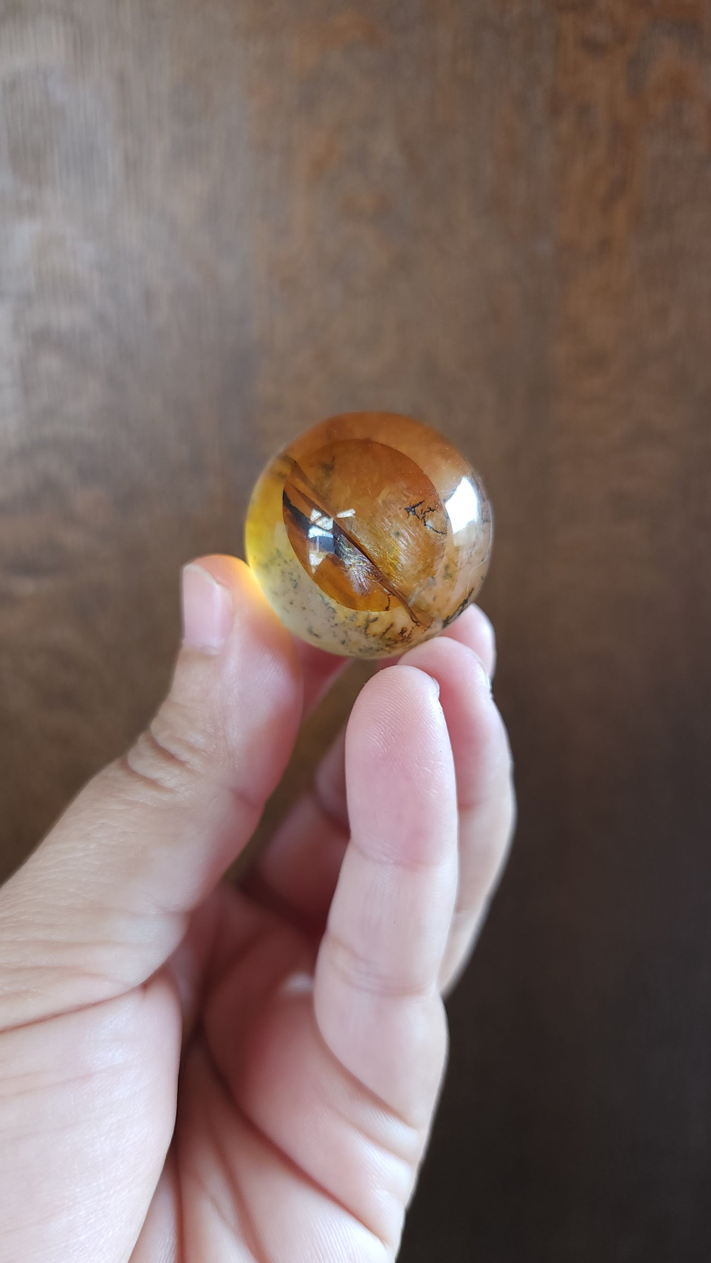 Dendritic Star Golden Healer Quartz Sphere