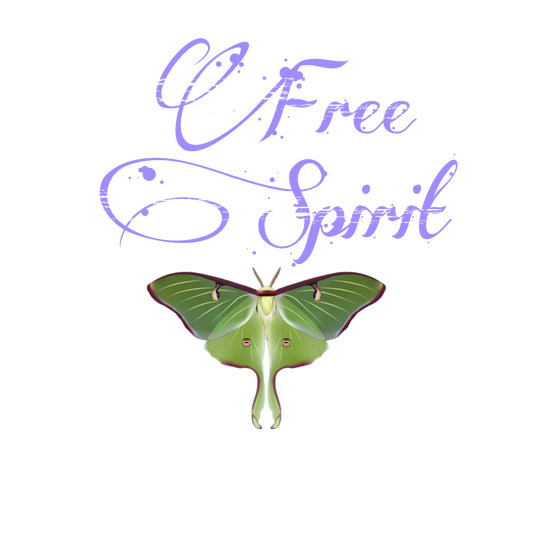 Phantom Sphere + Citrine Angel Feather Sphere Payment