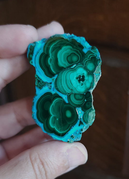 Malachite in Chrysocolla