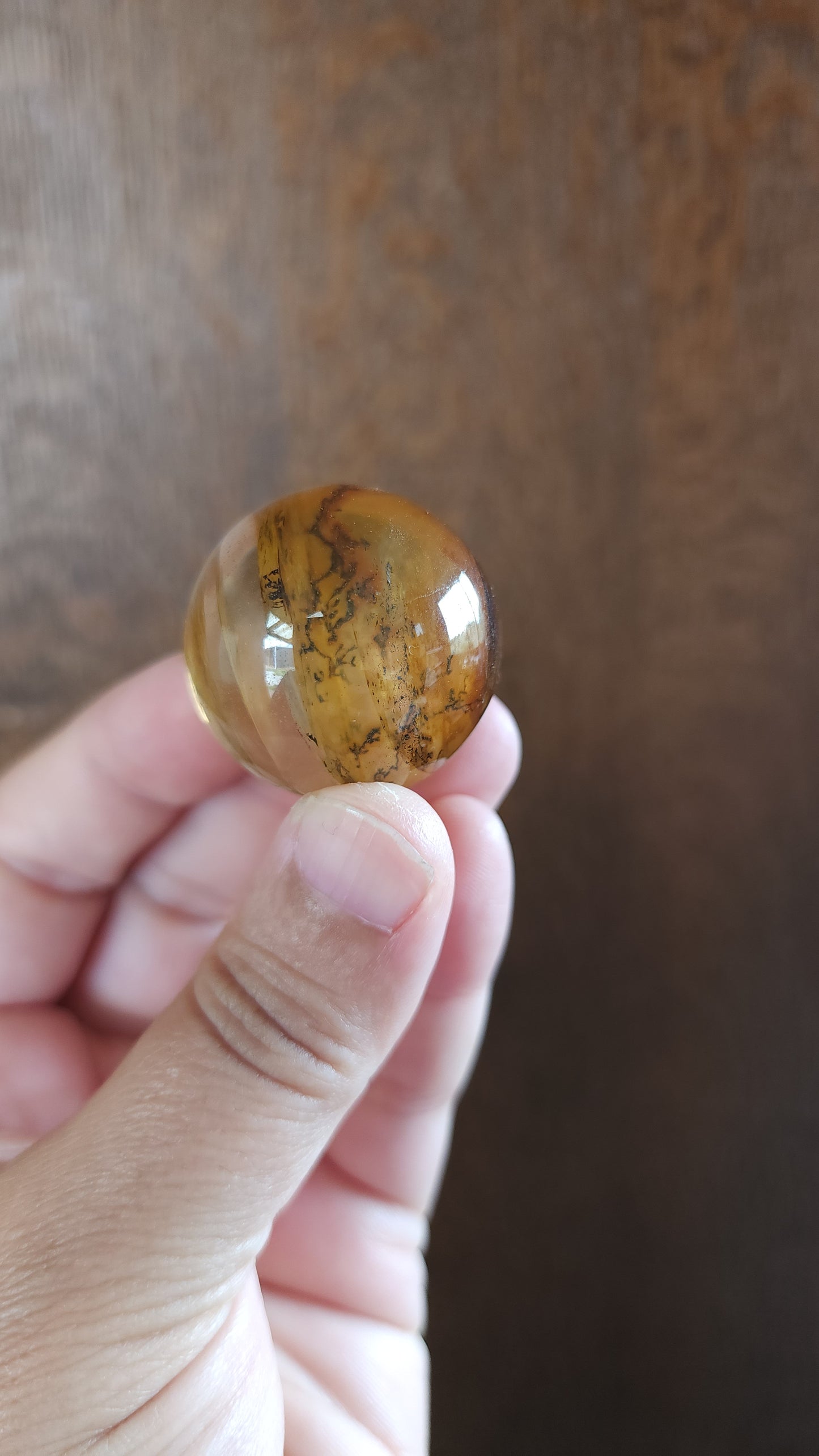 Dendritic Star Golden Healer Quartz Sphere