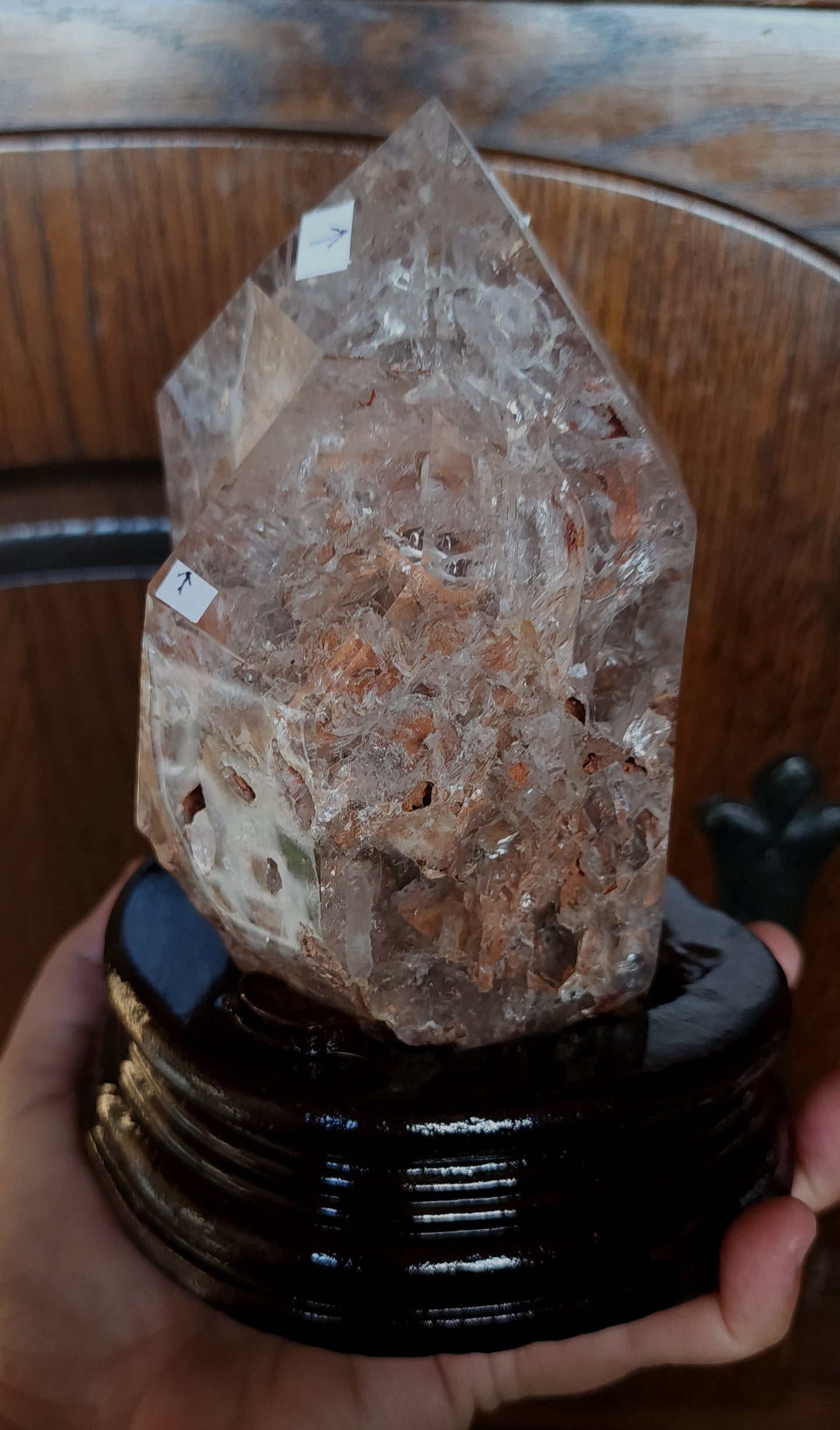 Quartz Enhydro Freeform