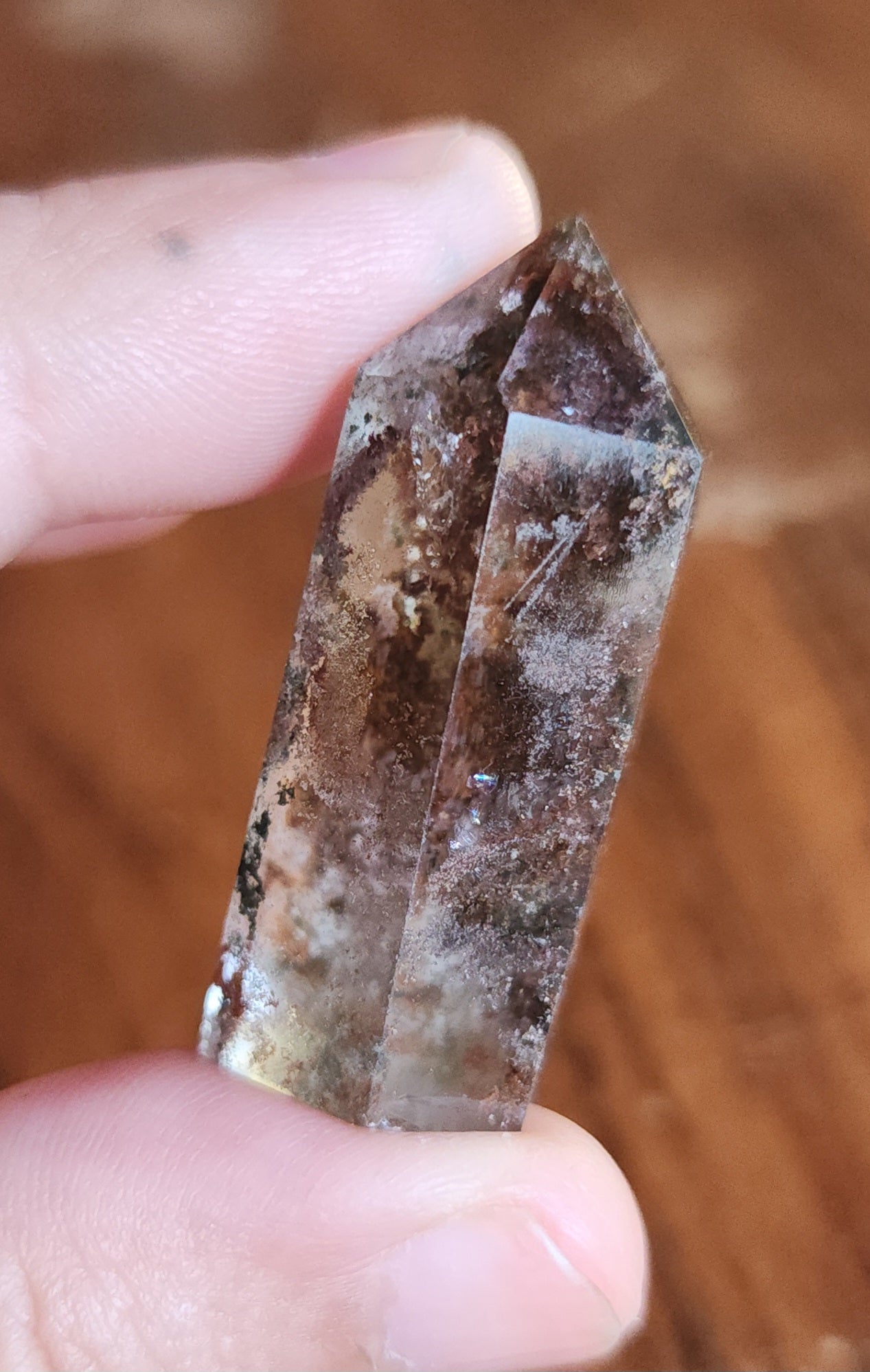 Lodolite Point AAA Garden Quartz