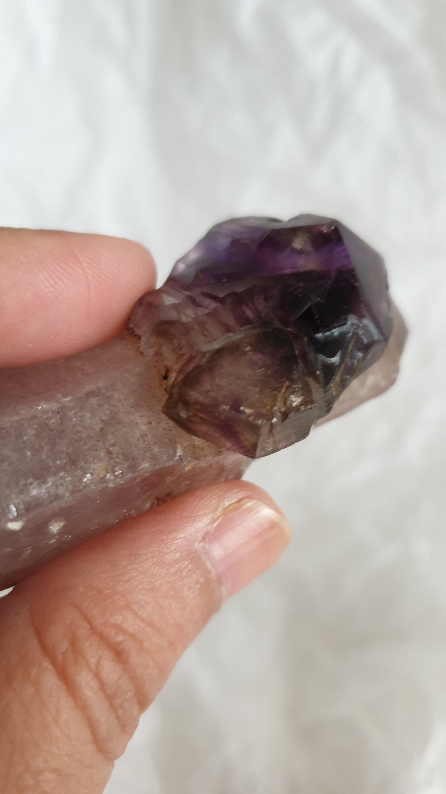 Shangaan Smoky Amethyst Scepter Enhydro