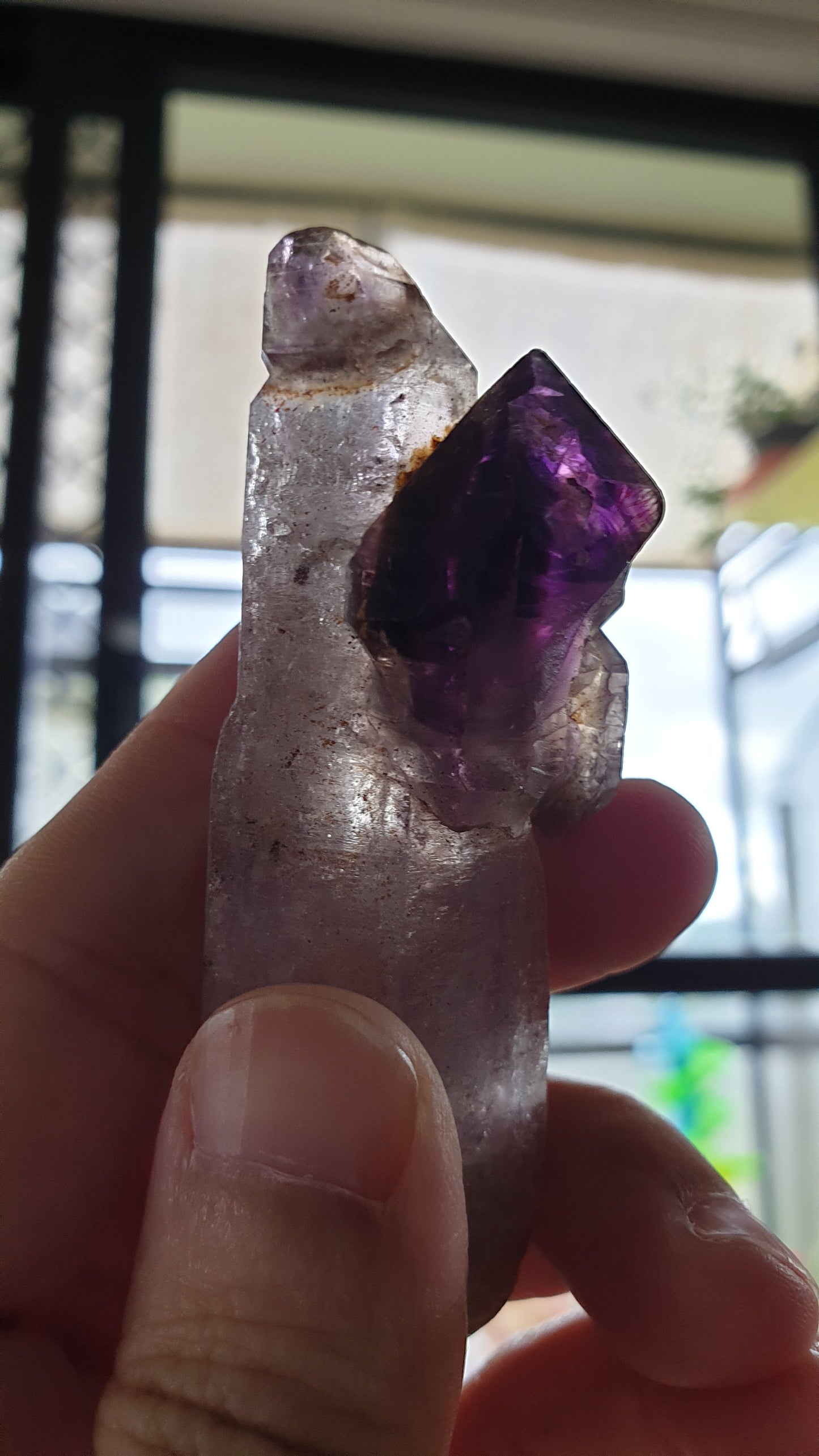 Shangaan Smoky Amethyst Scepter Enhydro