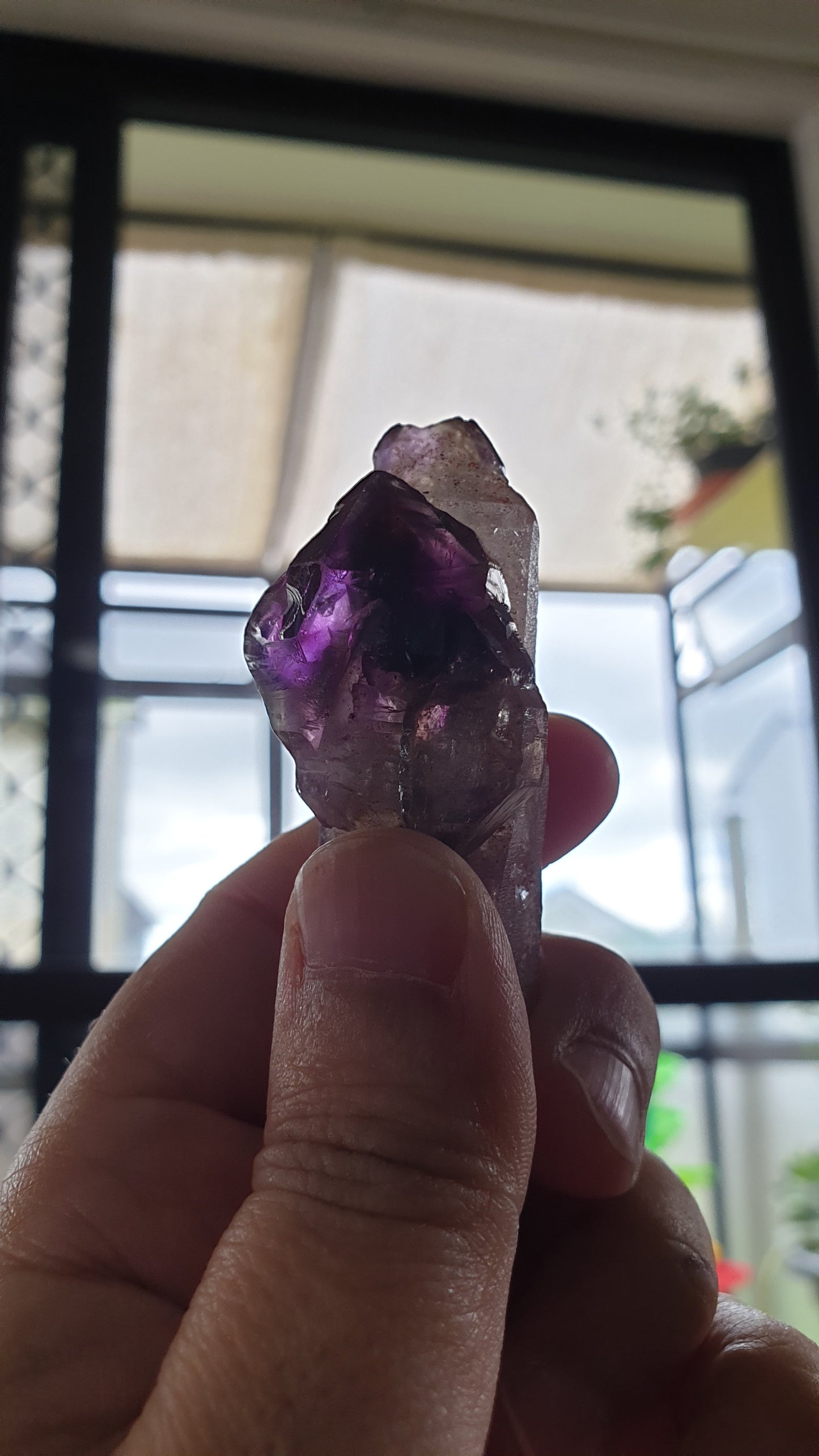 Shangaan Smoky Amethyst Scepter Enhydro