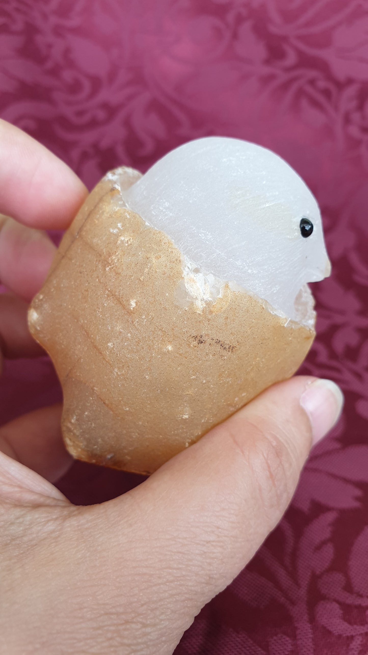 Agate Chick