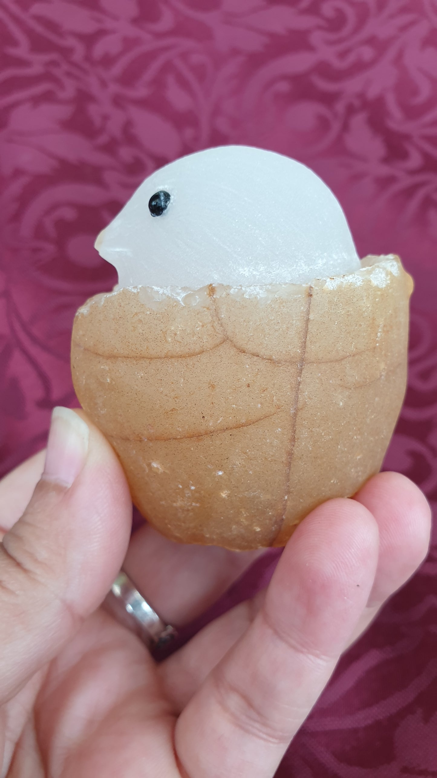 Agate Chick