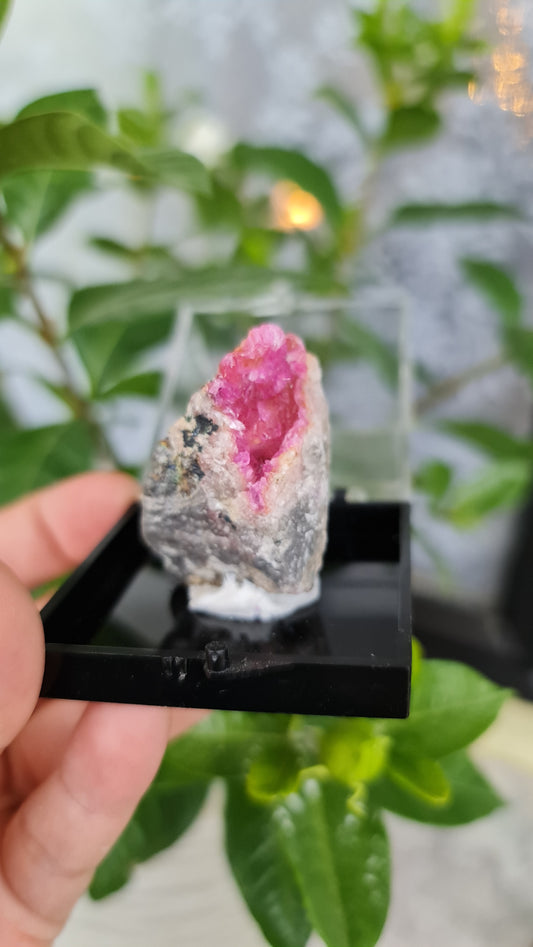 Cobaltoan Calcite Specimen