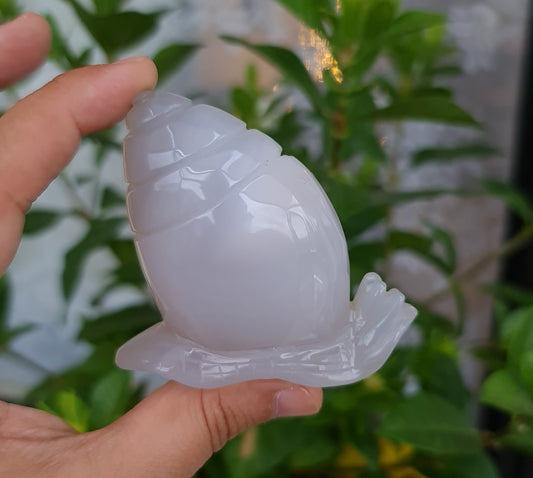 Agate Snail with Druzy Cave