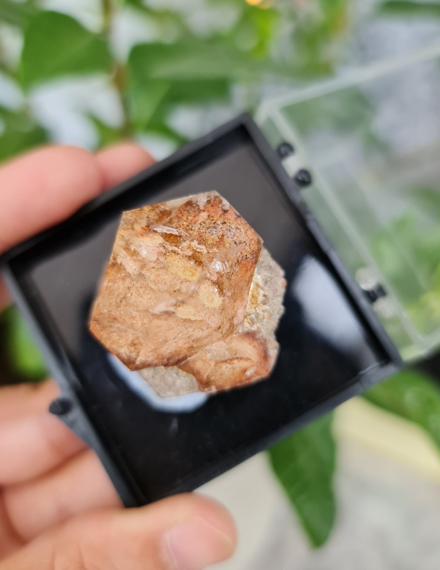 Inner Scene Quartz Natural Point