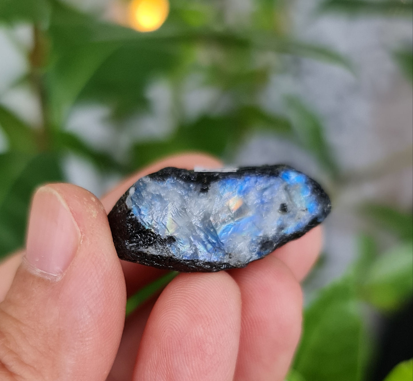 Rainbow Moonstone Raw