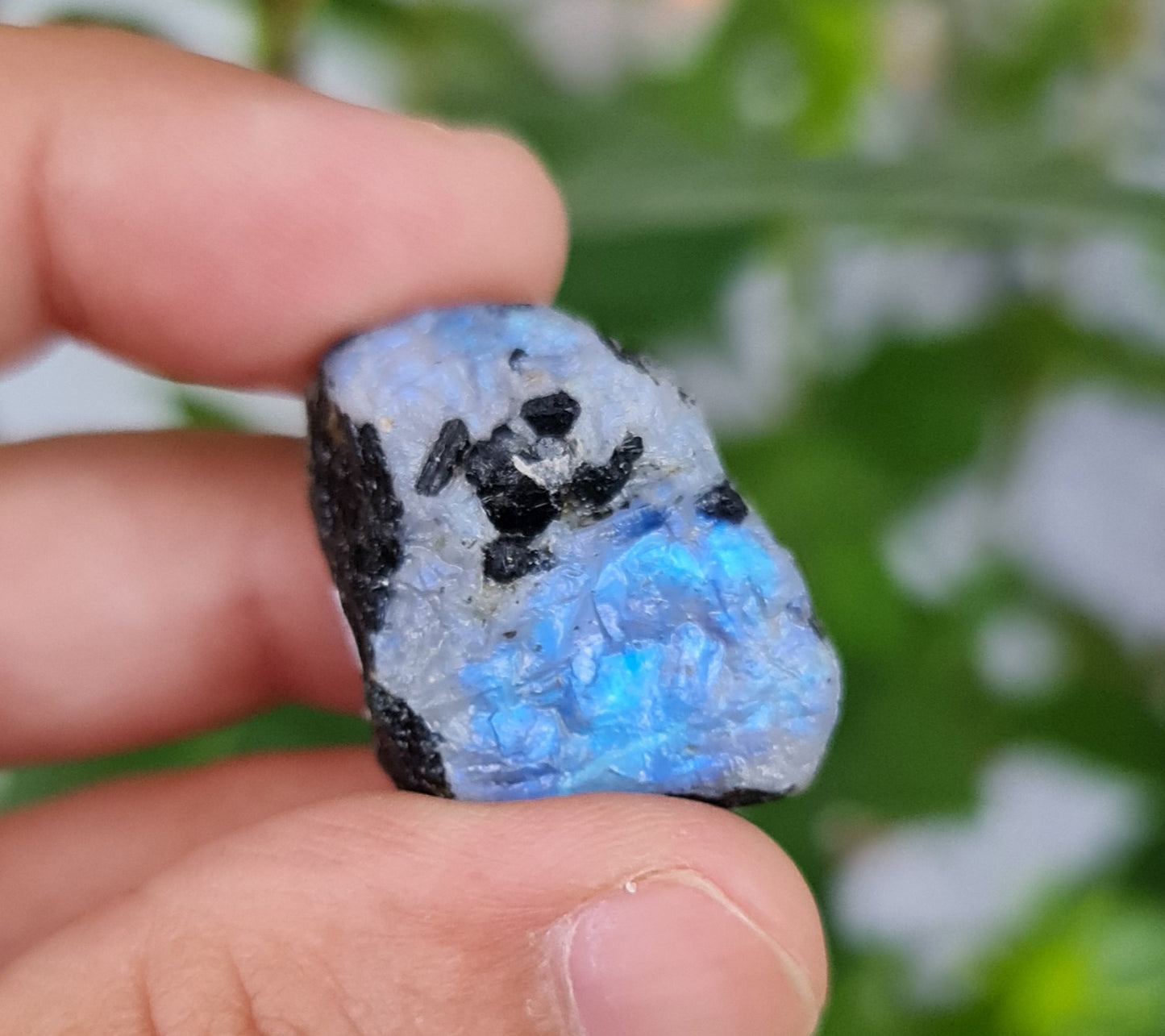 Rainbow Moonstone Raw