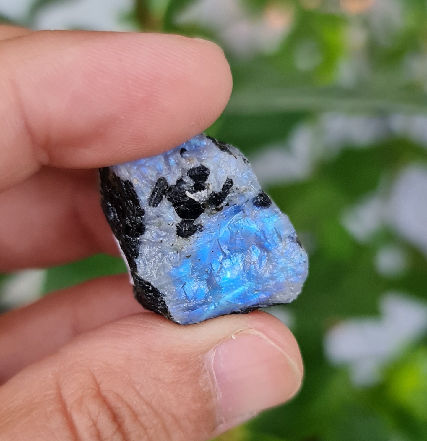 Rainbow Moonstone Raw