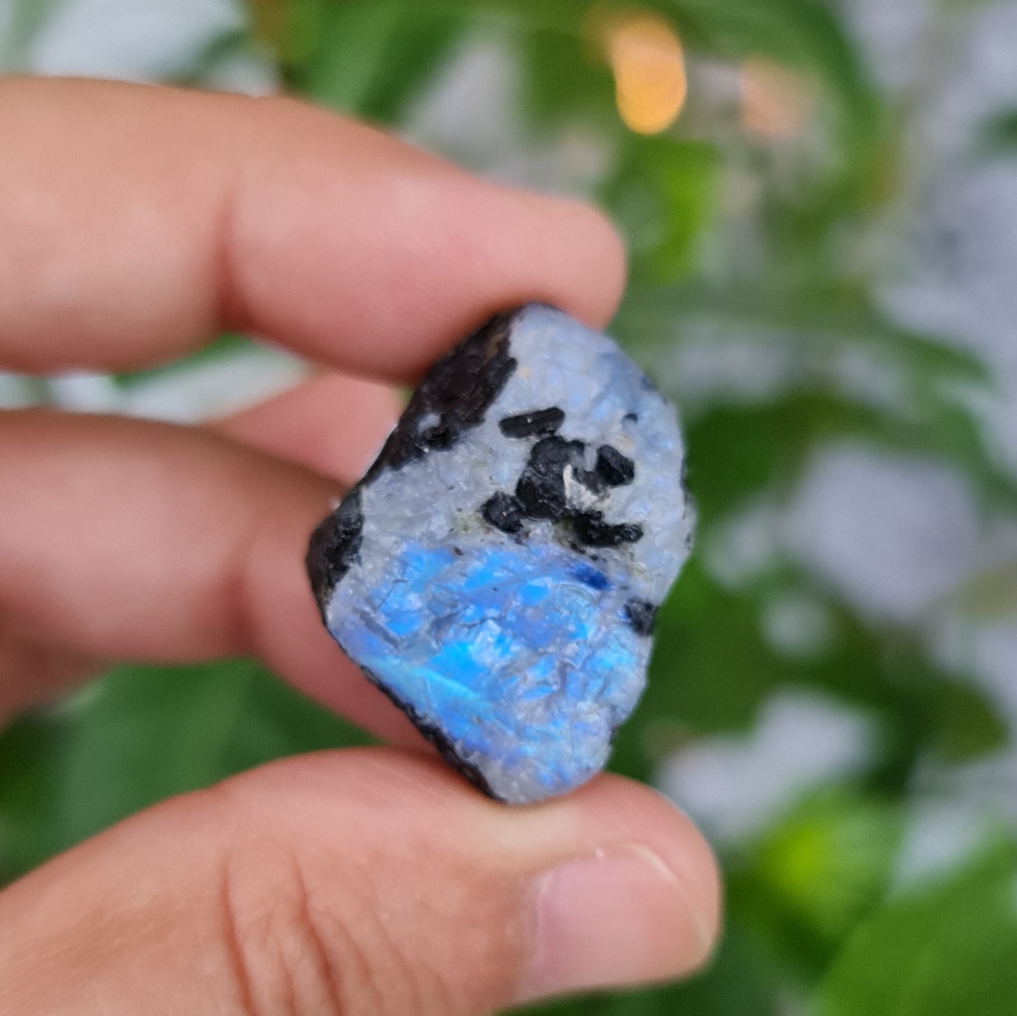 Rainbow Moonstone Raw