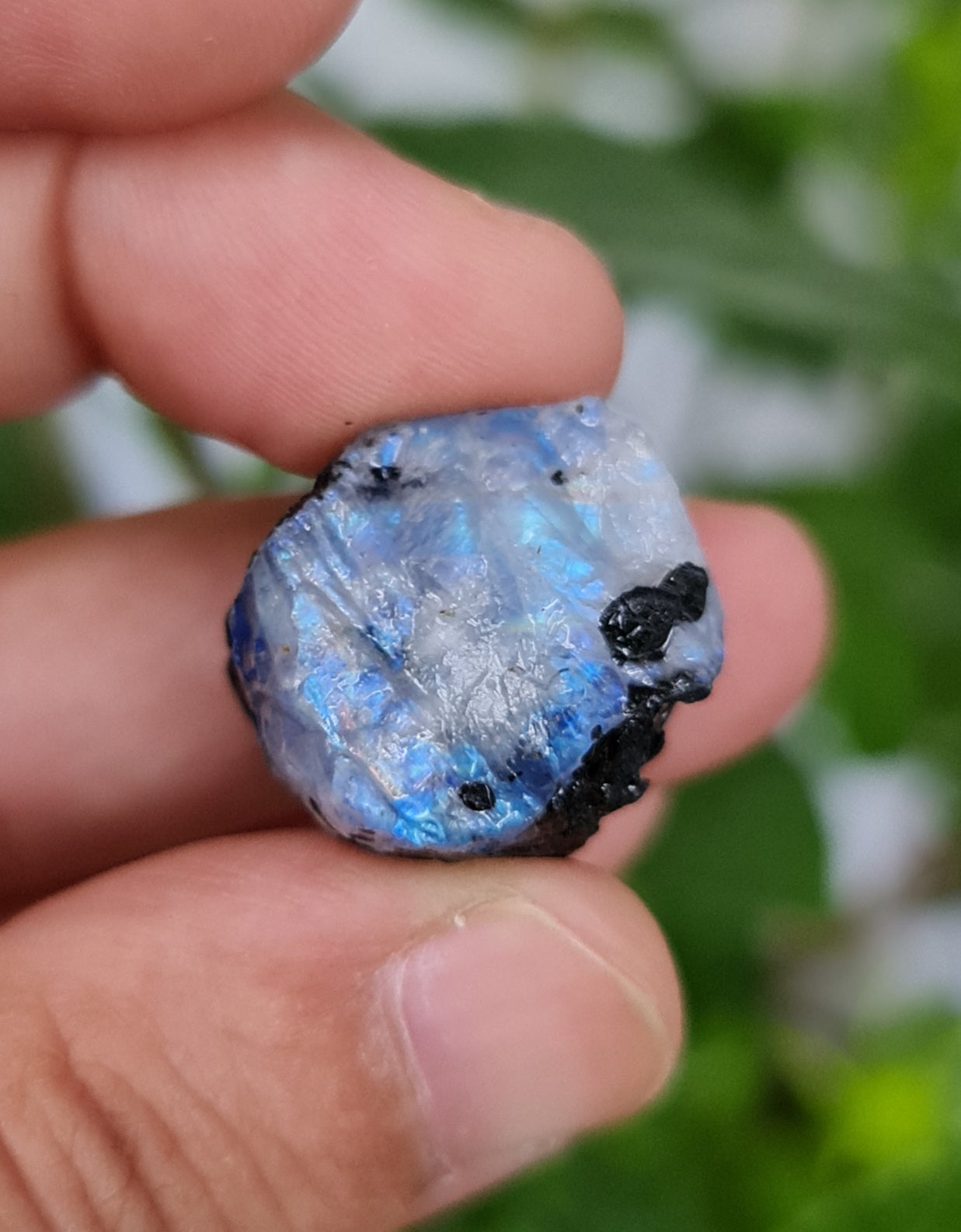 Rainbow Moonstone Raw