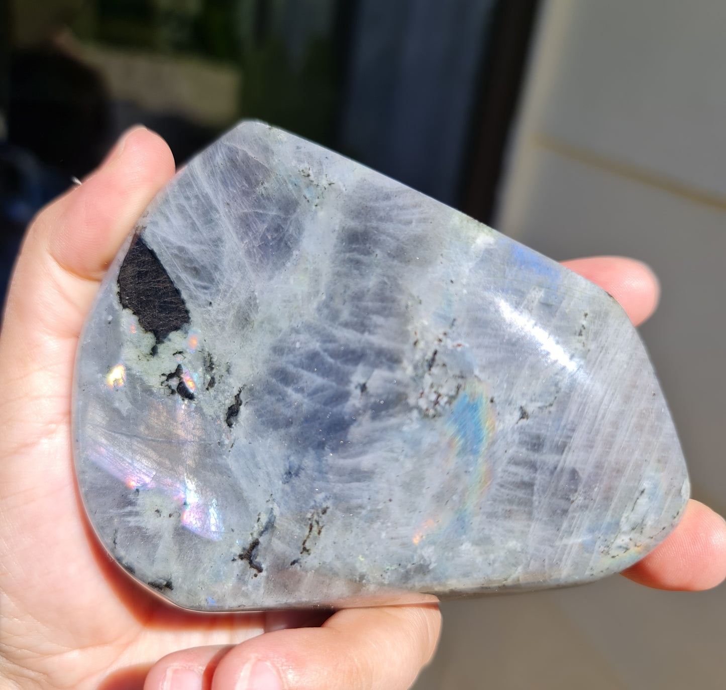 Labradorite Freeform