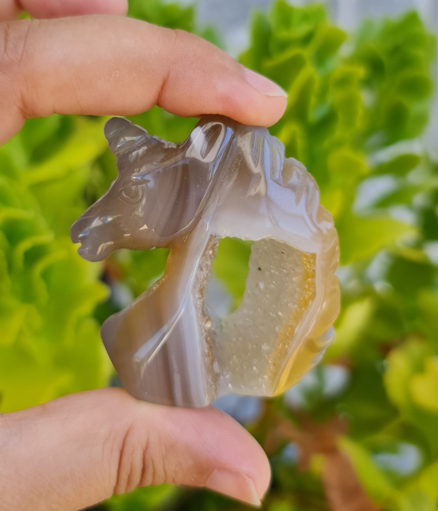 Agate Unicorn with Druzy