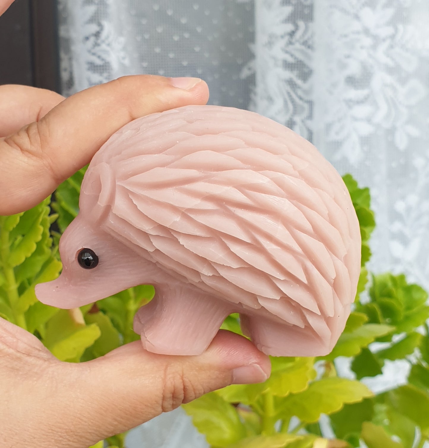Pink Opal Hedgehog - Large