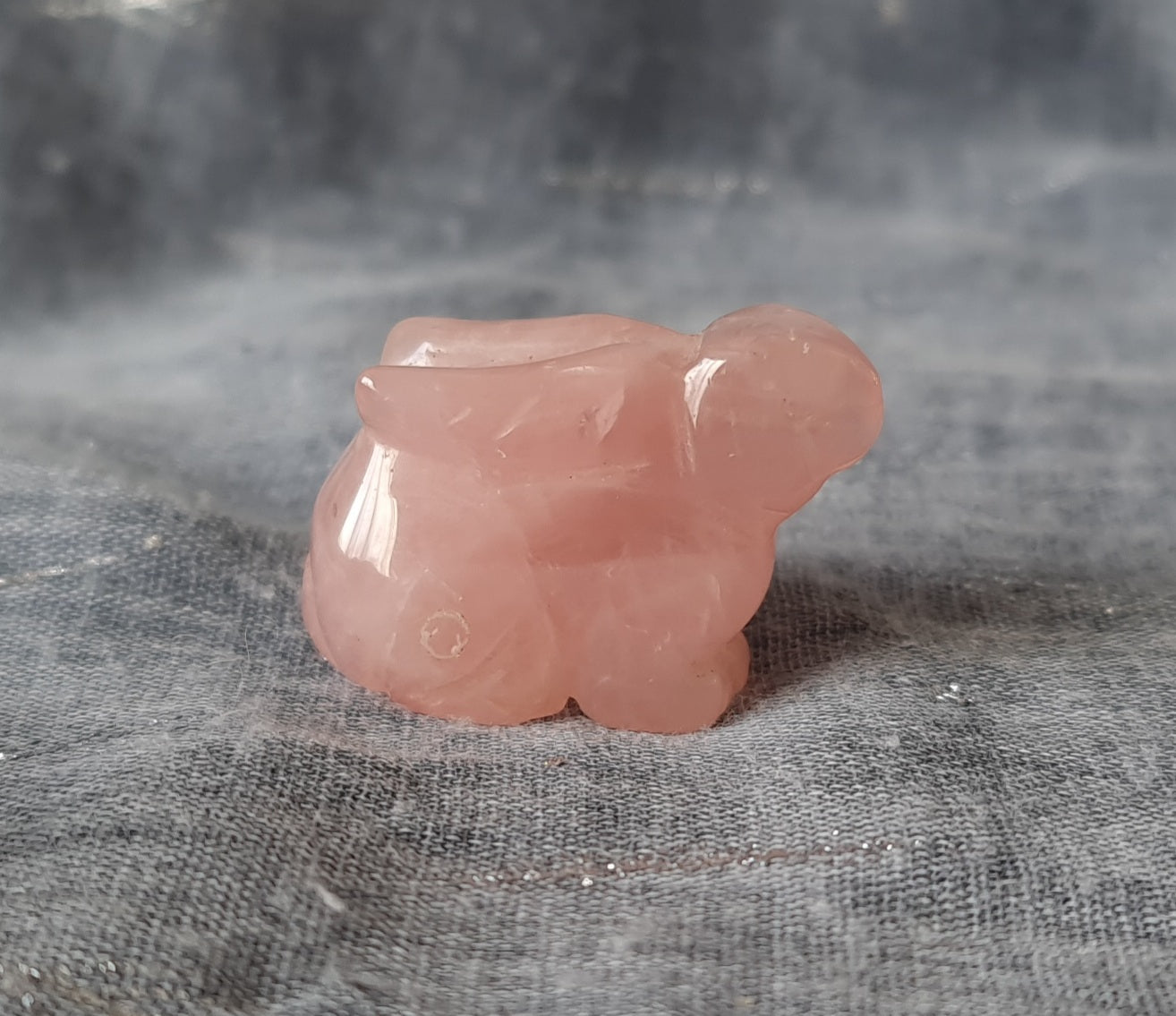 Crystal Rabbits