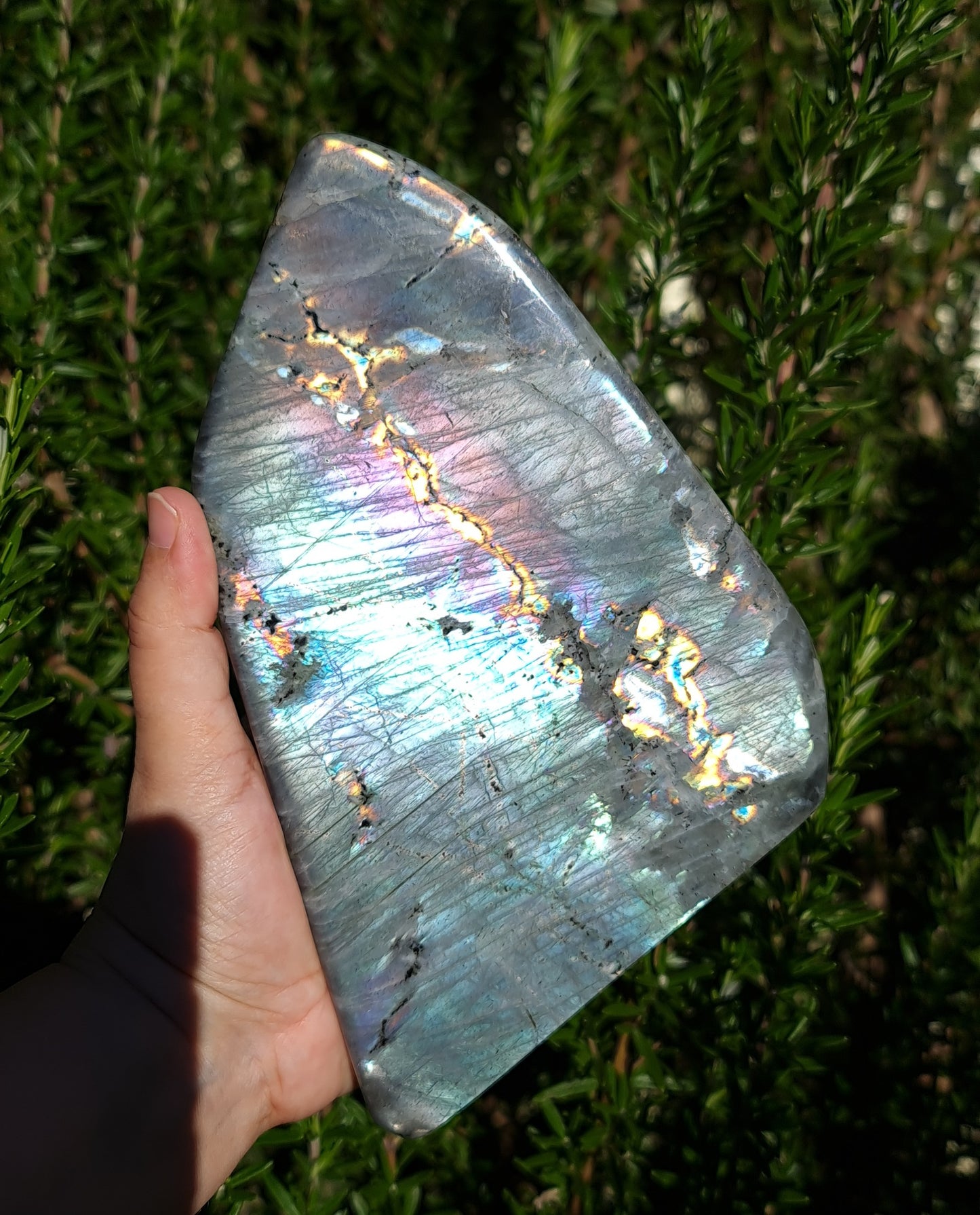Labradorite Freeform