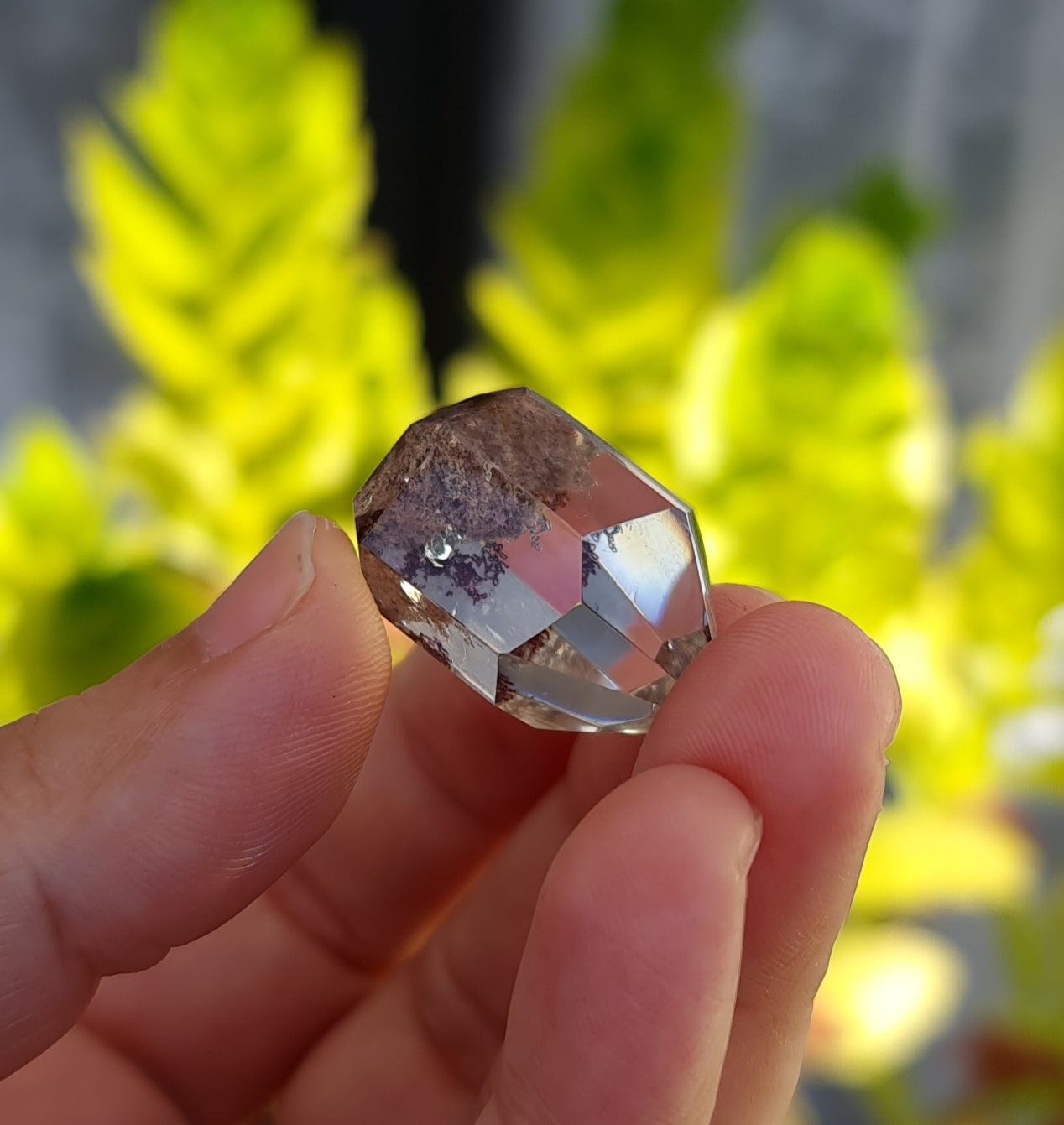 Lodolite Point AAA Garden Quartz