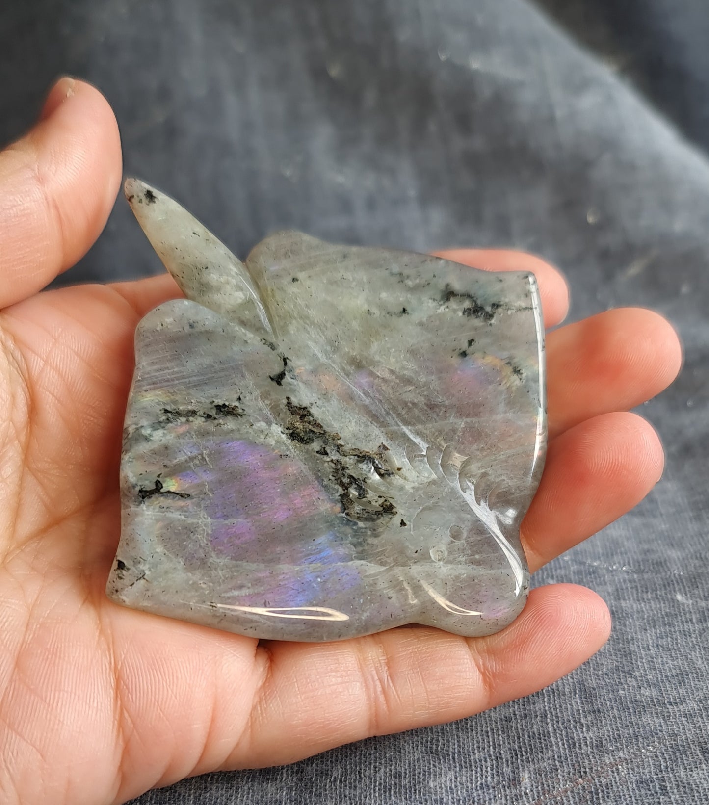 Labradorite Stingray Carving