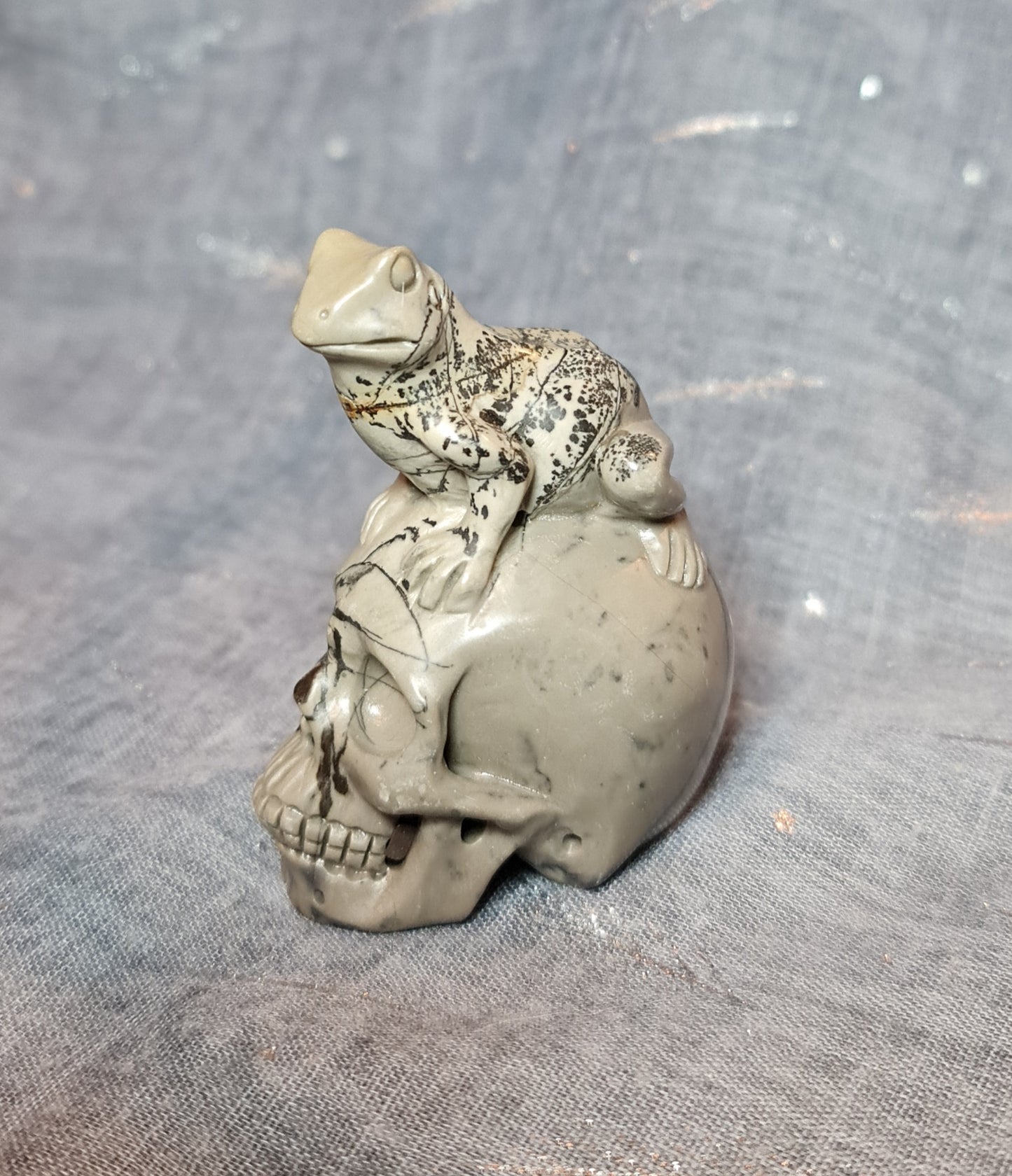 Dendritic Jasper Frog on Skull