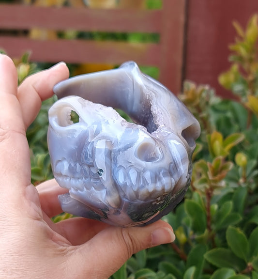 Agate Dragon Skull with Druzy