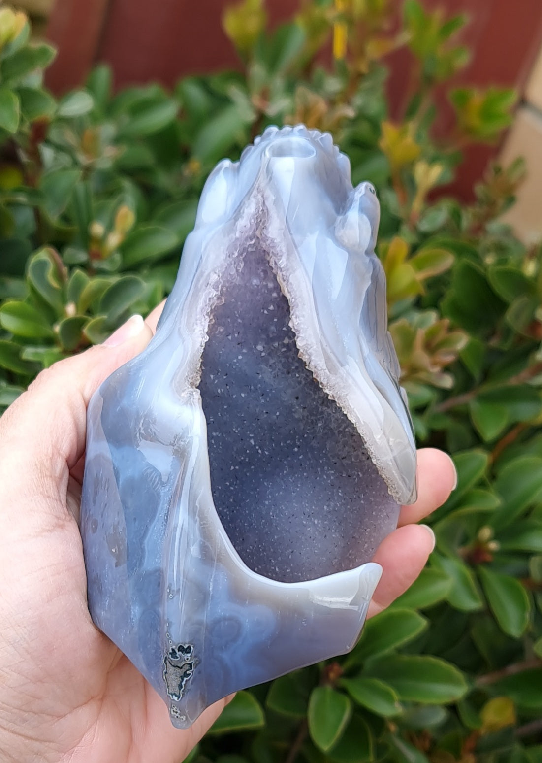 Agate Dragon Skull with Druzy