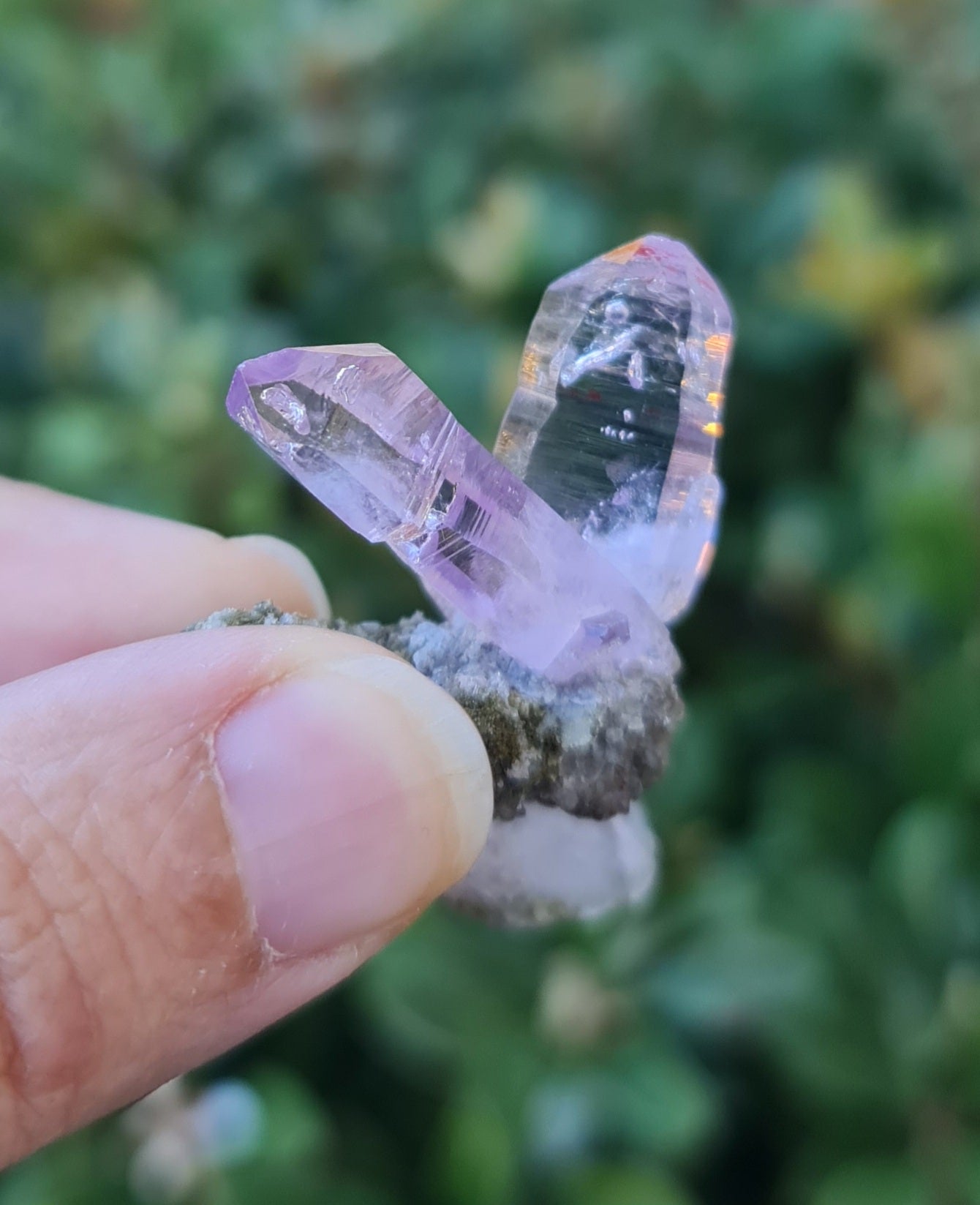 Vera Cruz Amethyst Specimen