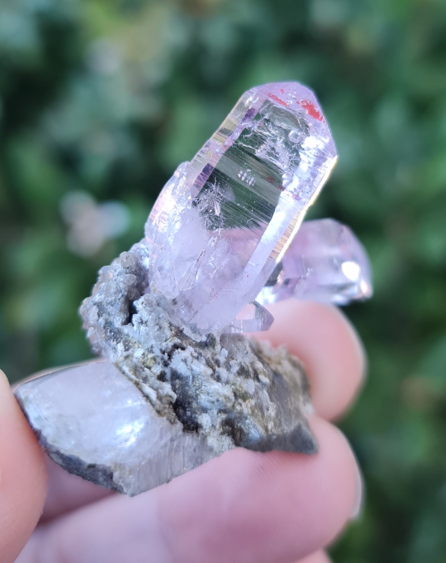Vera Cruz Amethyst Specimen