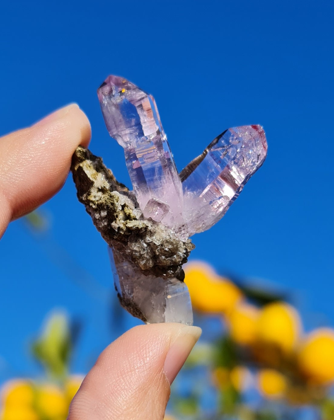 Vera Cruz Amethyst Specimen