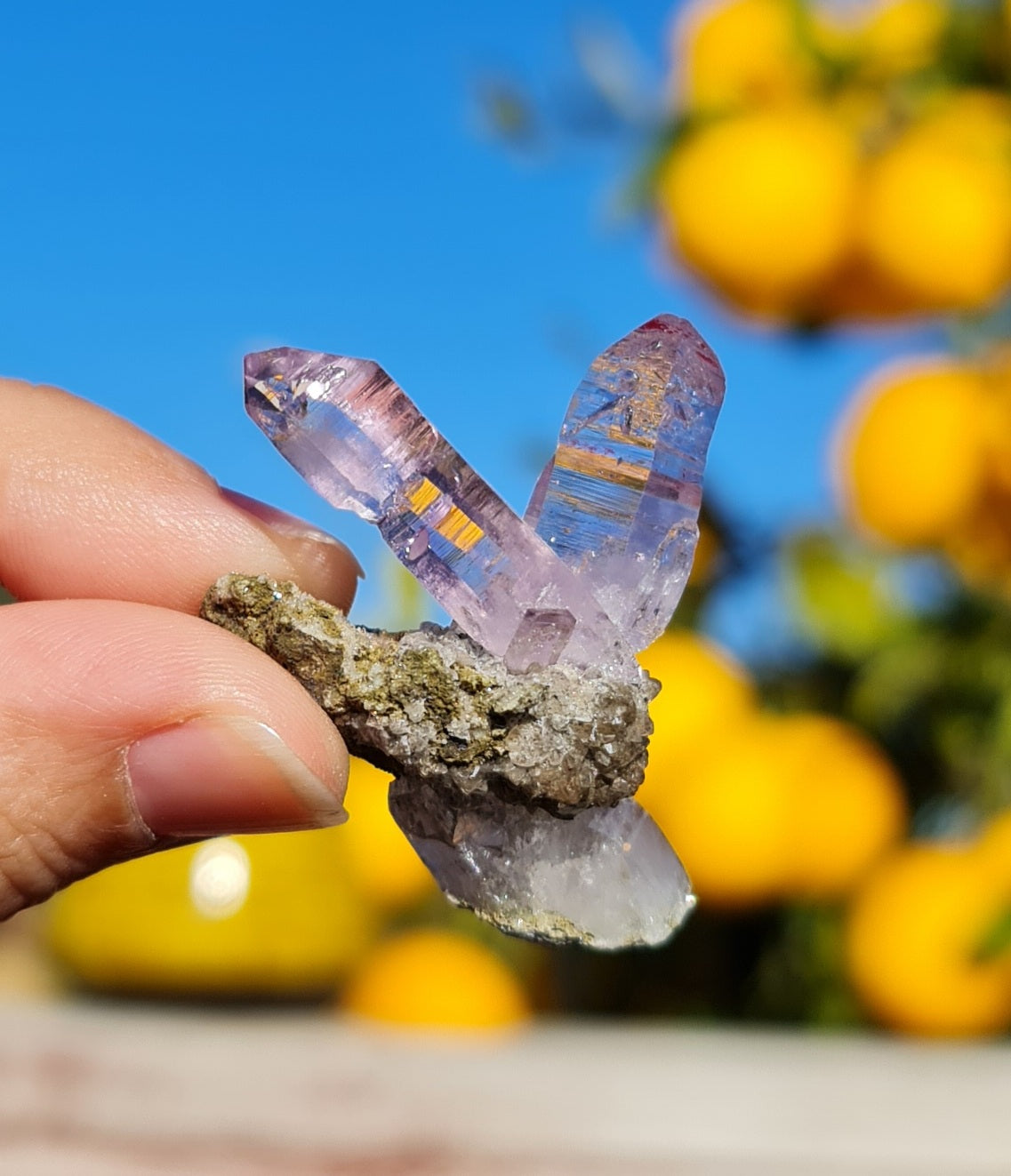 Vera Cruz Amethyst Specimen