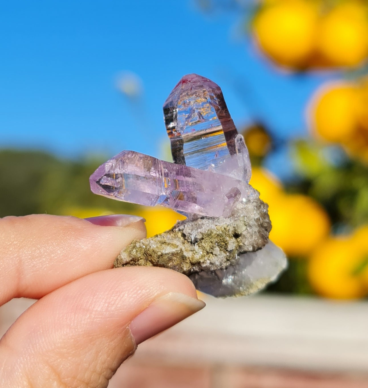 Vera Cruz Amethyst Specimen
