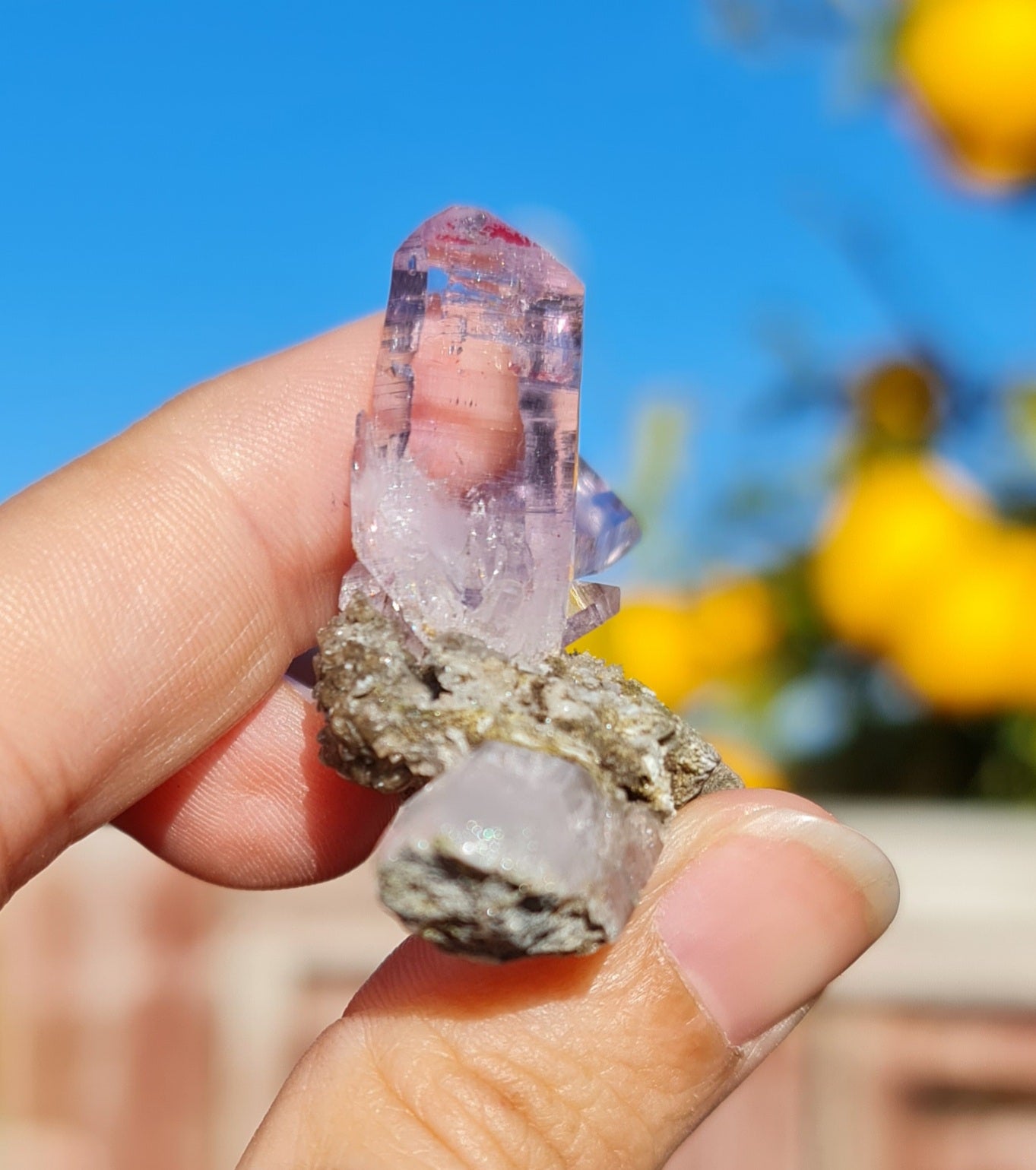 Vera Cruz Amethyst Specimen