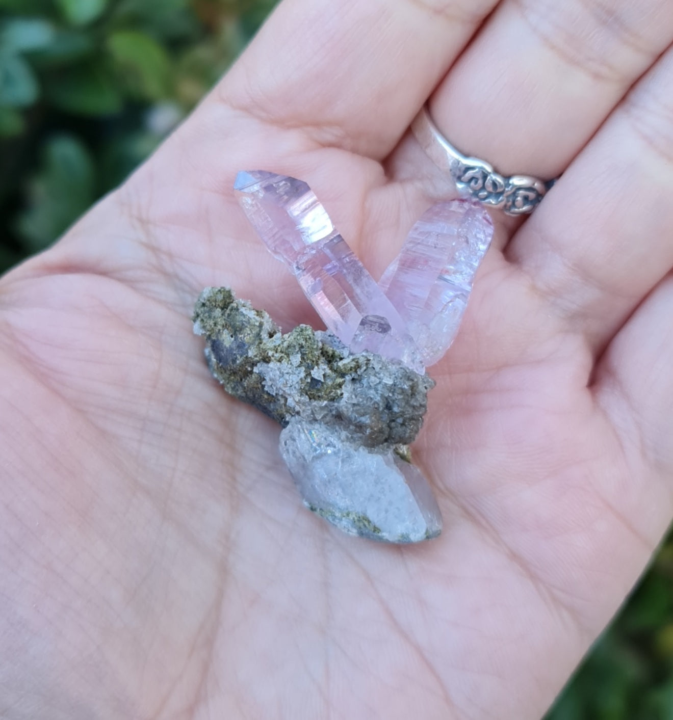 Vera Cruz Amethyst Specimen