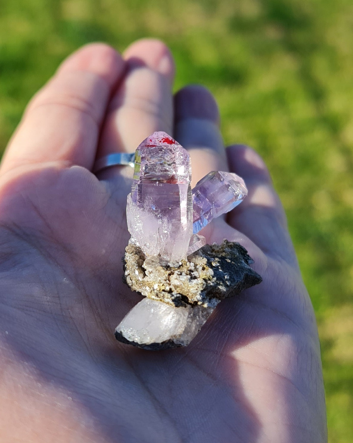 Vera Cruz Amethyst Specimen