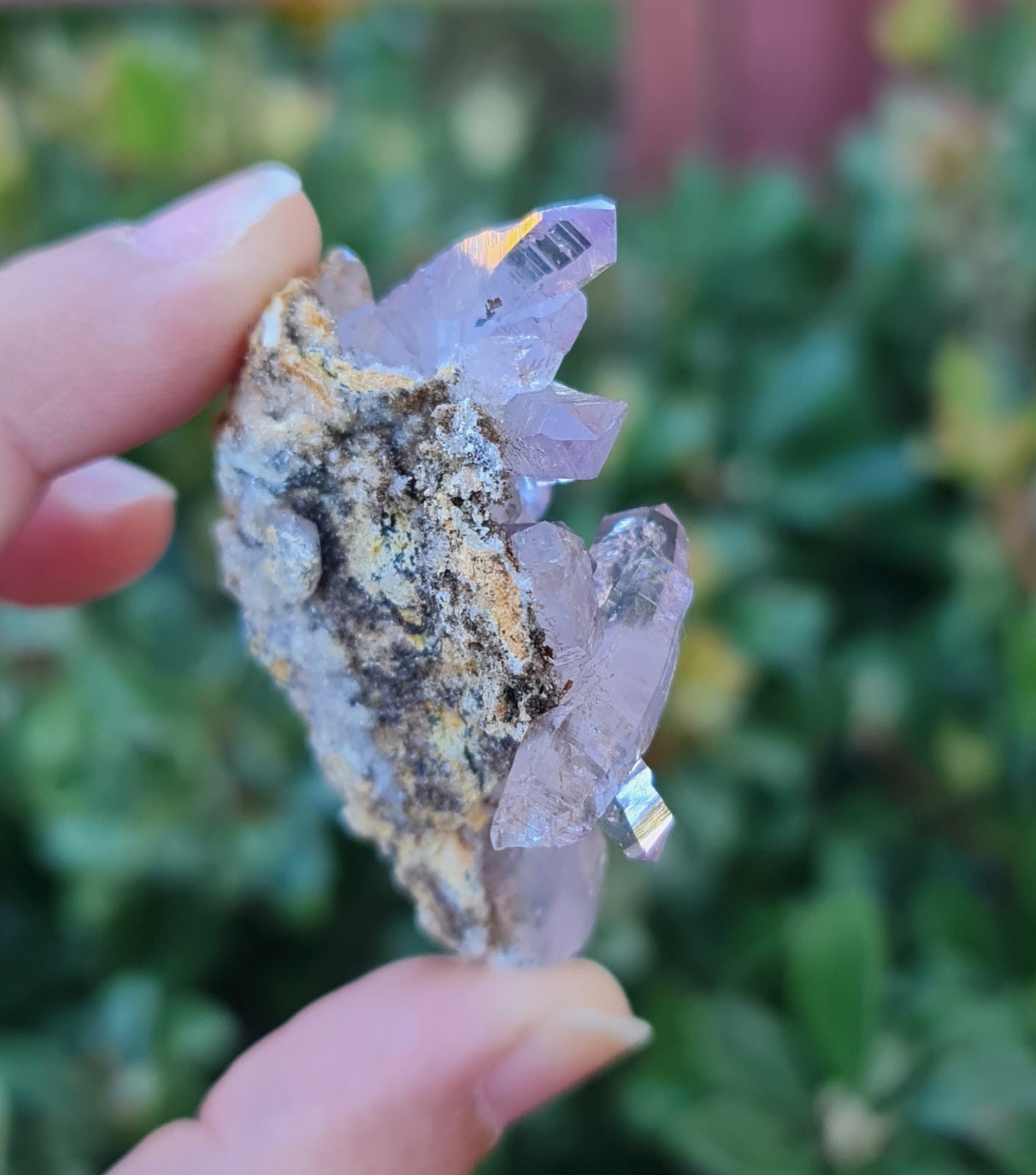 Vera Cruz Amethyst Specimen