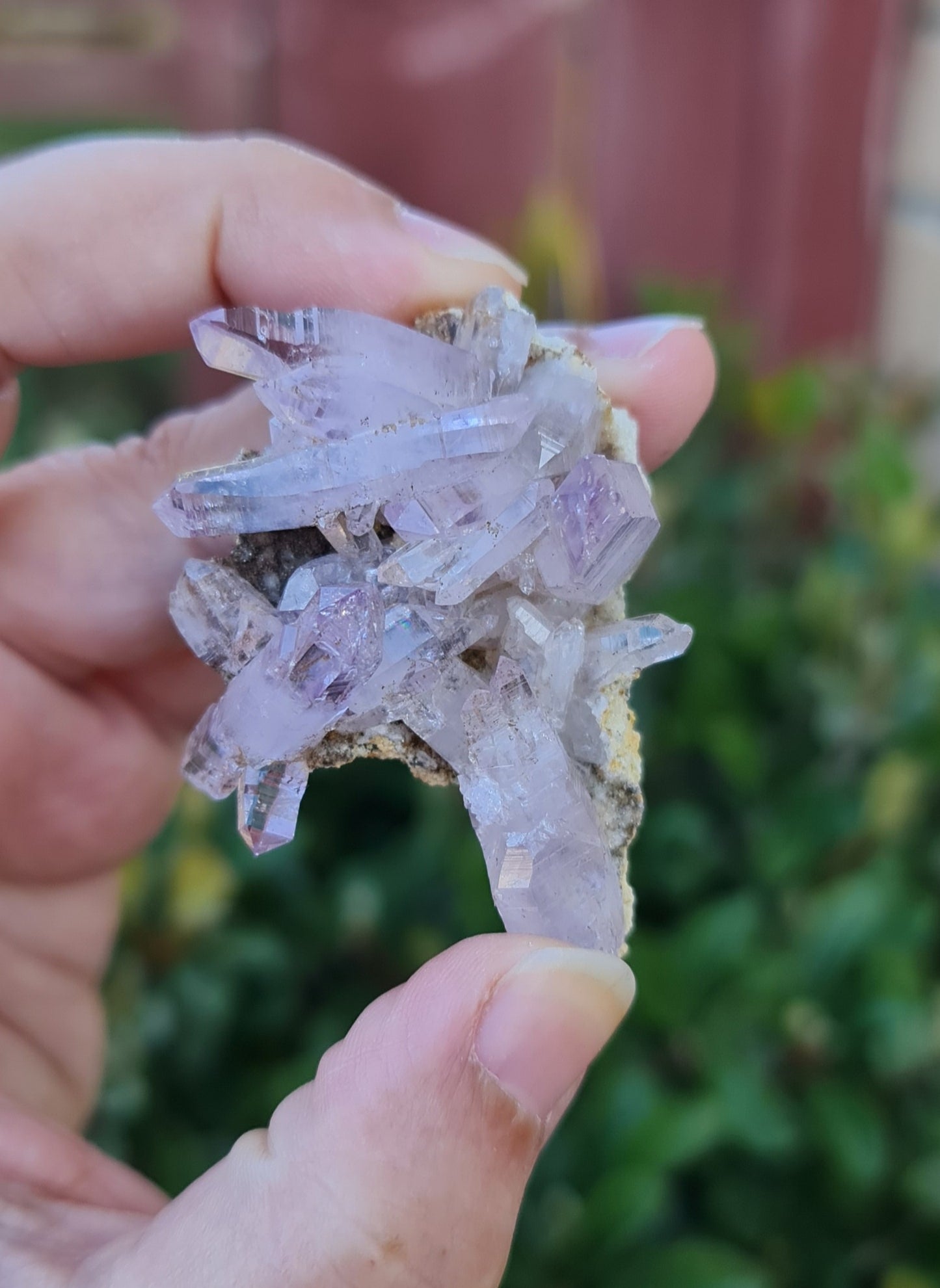 Vera Cruz Amethyst Specimen