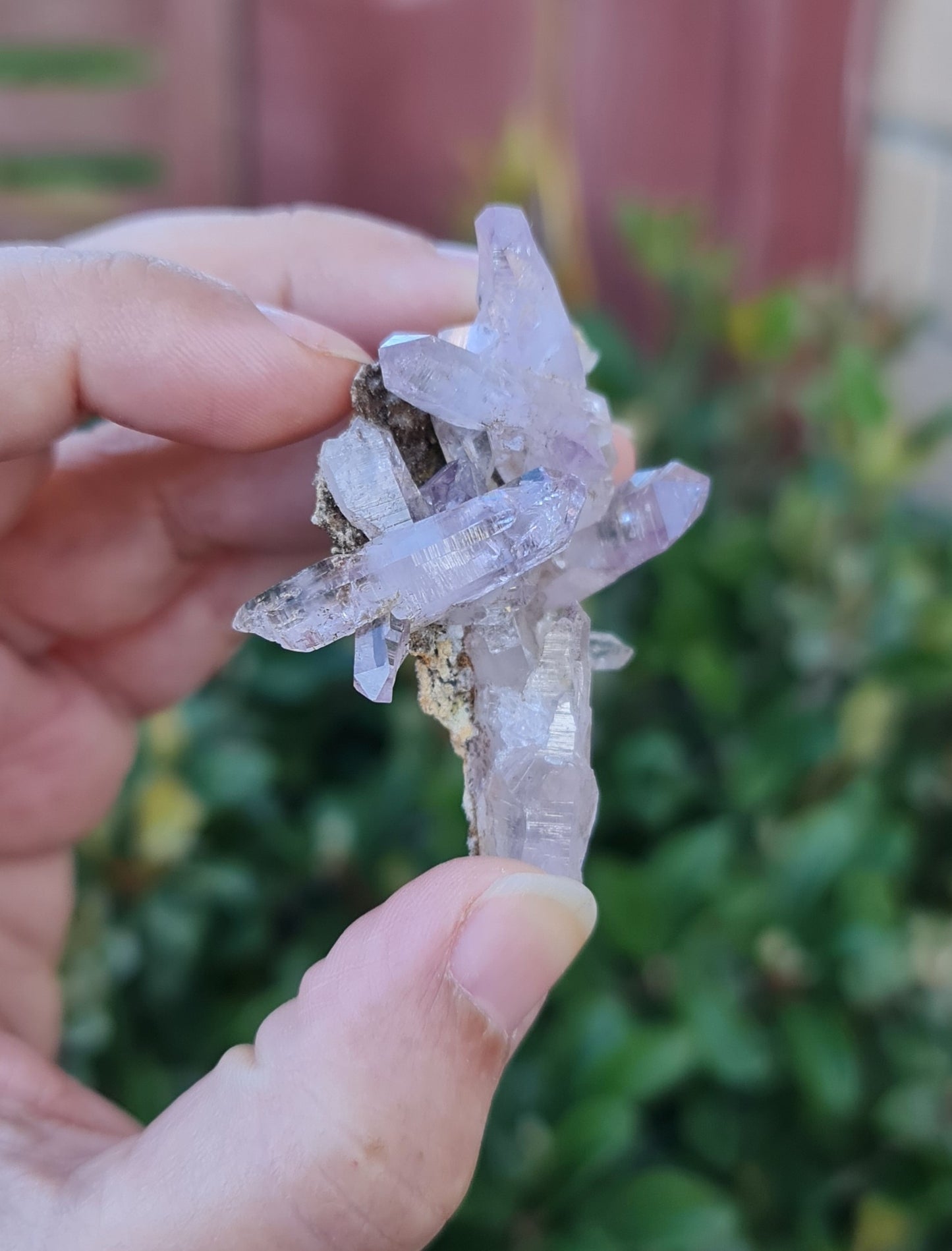 Vera Cruz Amethyst Specimen