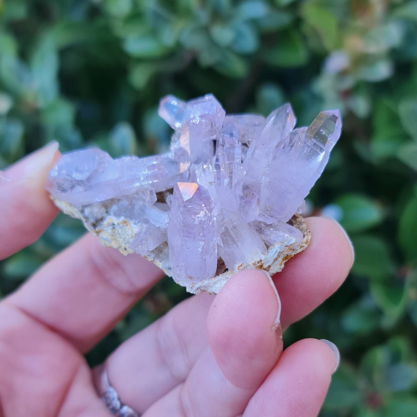 Vera Cruz Amethyst Specimen
