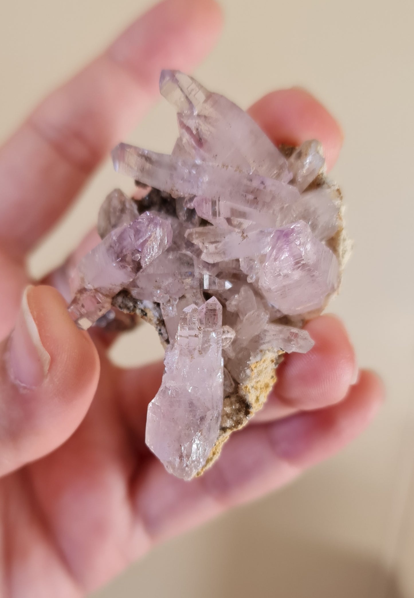 Vera Cruz Amethyst Specimen