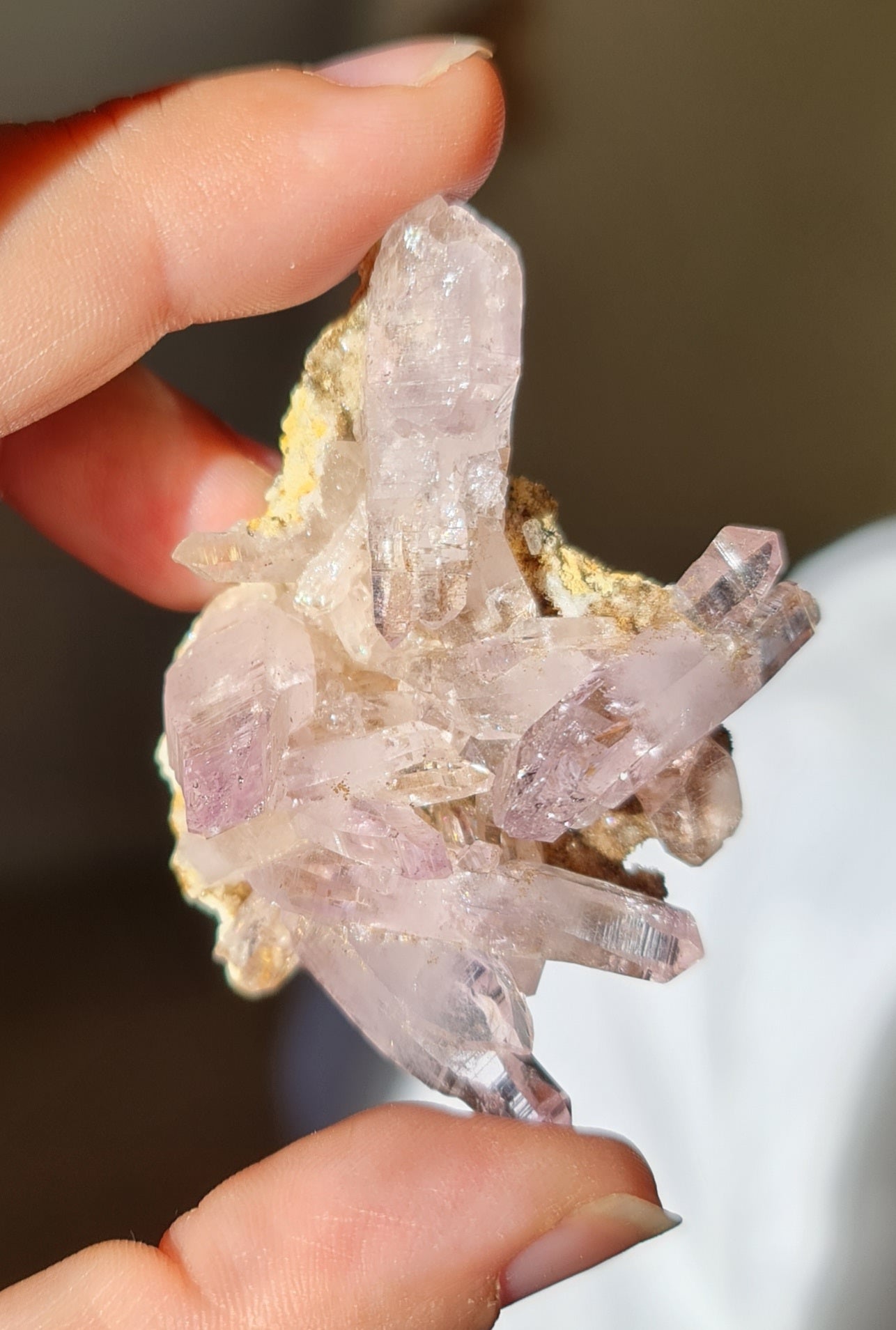 Vera Cruz Amethyst Specimen