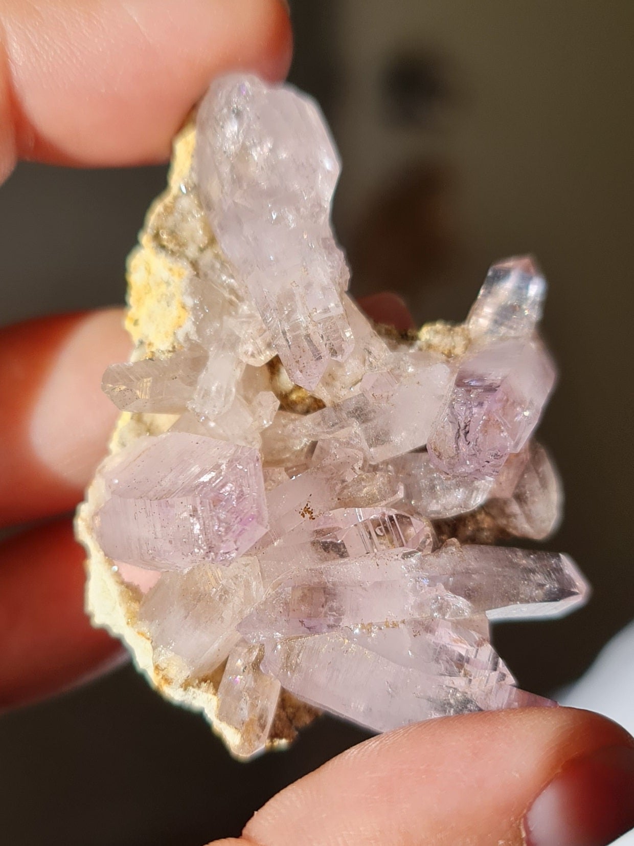 Vera Cruz Amethyst Specimen