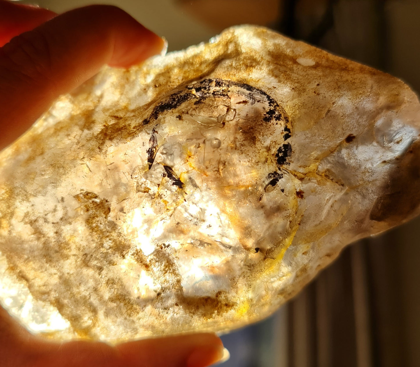 Smoky Quartz Enhydro